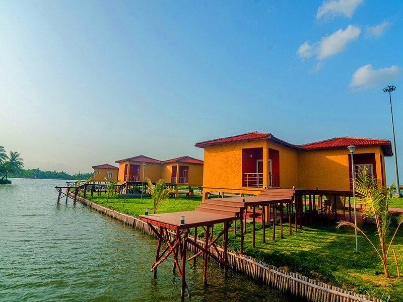 Garden Wedding Corporate Event